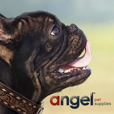 Angel Pet Supplies